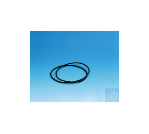 9791-0202 Уплотнительное кольцо Burkle, эксикатор 20 см 9791-0202 Уплотнительное кольцо Burkle, эксикатор 20 см